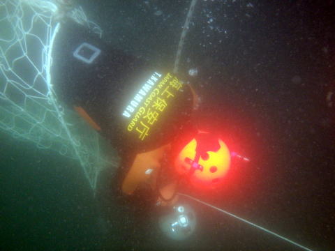 潜水訓練中ネットをくぐりぬける潜水士